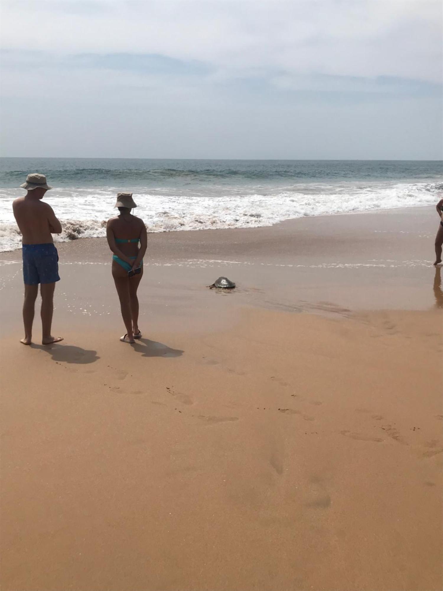 Waves Ranna Cabana And Seafood Bagian luar foto